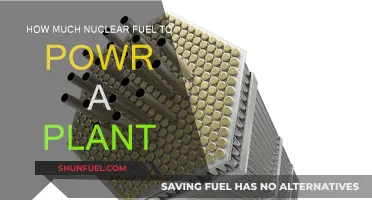 Nuclear Power Plants: Fuel Requirements and Energy Output