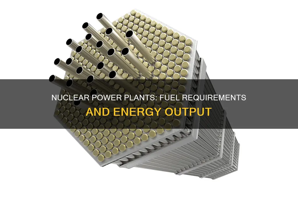how much nuclear fuel to powr a plant