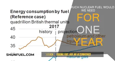 The World's Annual Nuclear Fuel Demand