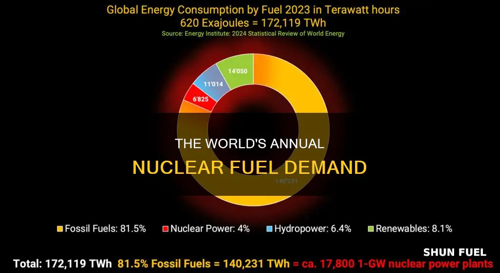 how much nuclear fuel would we need for one year