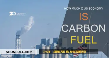 Carbon Fuel's Grip on the US Economy