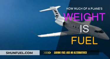 Plane Fuel: What's the Weight Impact?