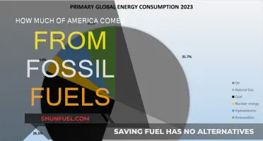 America's Fossil Fuel Dependence: Understanding the Energy Landscape