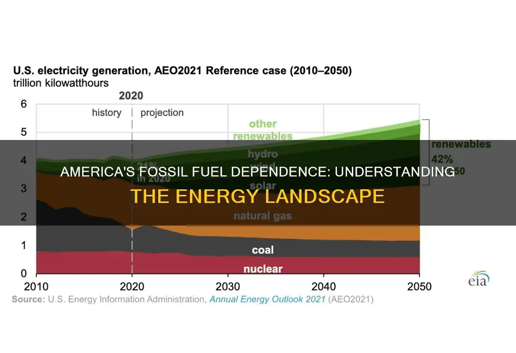 how much of america comes from fossil fuels