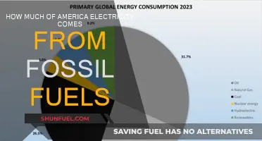 America's Electricity: Fossil Fuel Dependence