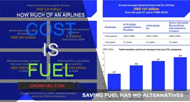 Fuel Costs: A Major Expense for Airlines