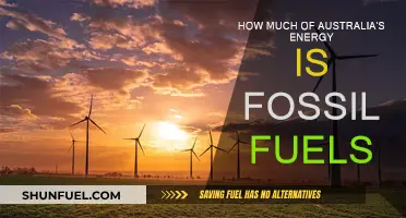 Australia's Energy Mix: Fossil Fuels' Dominance