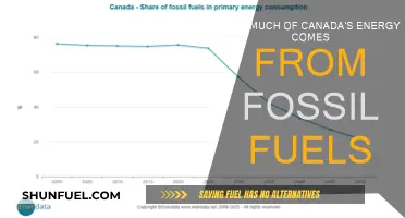 Canada's Energy Sources: Fossil Fuel Dependence