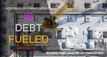 China's Debt-Fueled Growth: A Precarious Balance