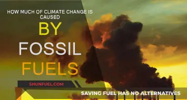 Fossil Fuels' Impact on Climate Change: Understanding the Link