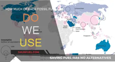 Fossil Fuel Usage: A Breakdown of Our Energy Consumption