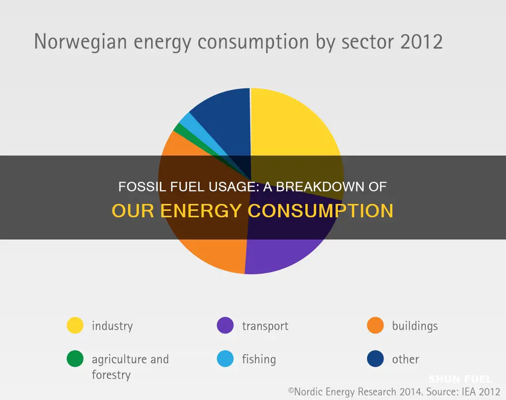how much of each fossil fuel do we use