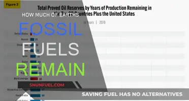 The World's Fossil Fuel Supplies: What's Left?
