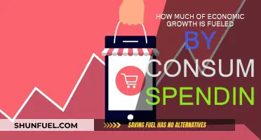 Consumer Spending: The Engine of Economic Growth?