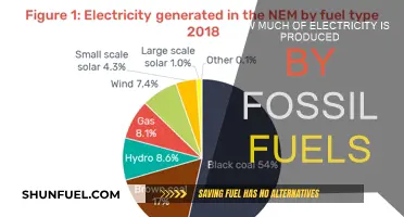 Fossil Fuels' Electricity Production: How Much is Too Much?