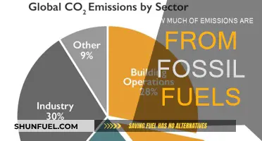 Fossil Fuels' Huge Carbon Emissions Impact