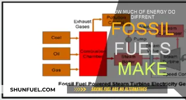 Energy Output: Fossil Fuels Compared