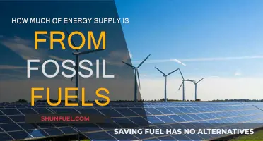 Energy Supply: Fossil Fuel Dependence