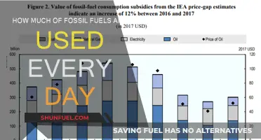The World's Daily Fossil Fuel Consumption