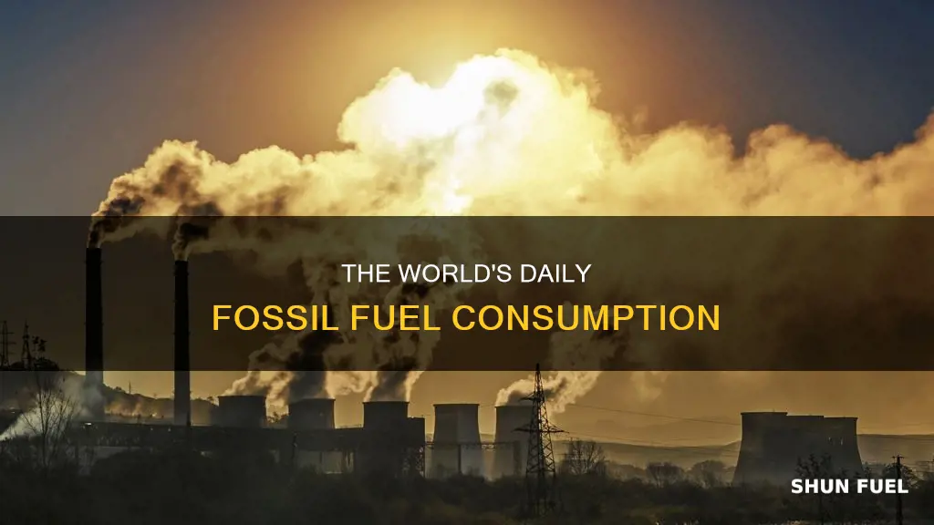 how much of fossil fuels are used every day