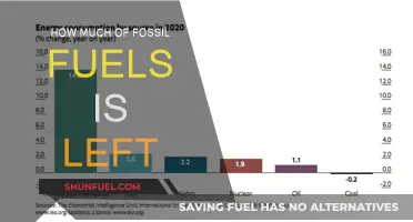 The World's Remaining Fossil Fuel Reserves
