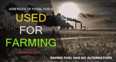 Fossil Fuels in Agriculture: How Much is Too Much?