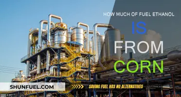 Corn-Based Ethanol: How Much Fuel Is It?
