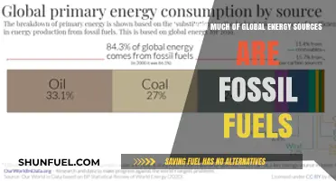 Fossil Fuels Dominance: Current Share in Global Energy Sources