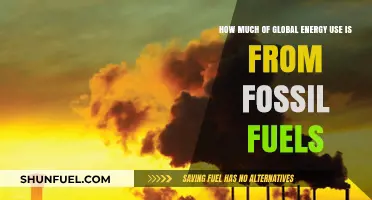 Fossil Fuels Dominance: Understanding Their Share in Global Energy Consumption