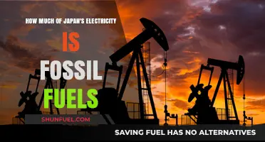 Japan's Electricity: Fossil Fuel Dependence