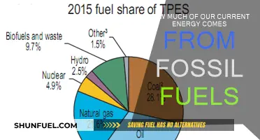 Energy Sources: Fossil Fuels' Dominance