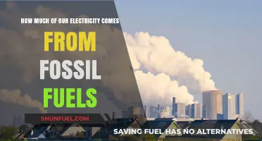 Fossil Fuels' Dominance: Unveiling Their Role in Global Electricity Generation