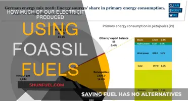 The Electricity–Fossil Fuel Connection: How Much?
