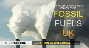 UK's Fossil Fuel Energy Sources: How Much and Why?