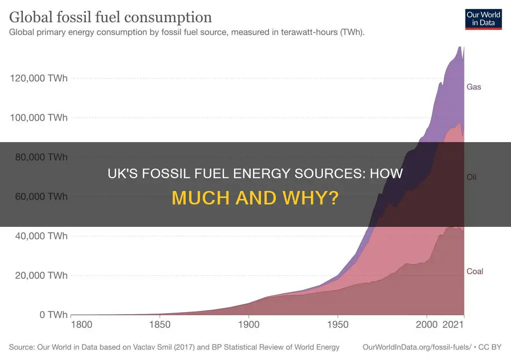 how much of our energy comes from fossil fuels uk