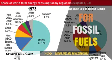 Fossil Fuels Dominance: Understanding Our Energy Consumption Breakdown
