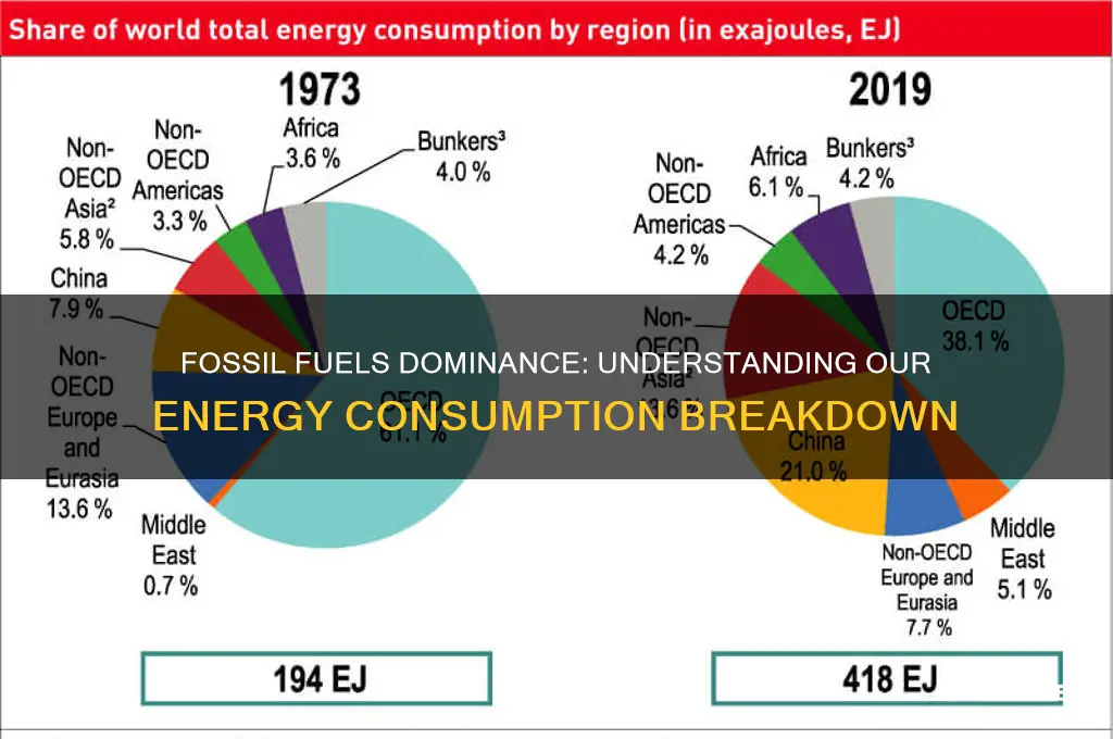 how much of our energy is used for fossil fuels