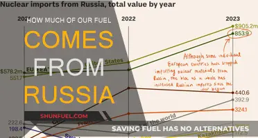 Fuel Sources: Russia's Dominance and Our Dependence