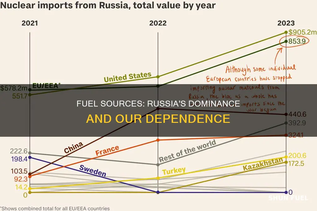 how much of our fuel comes from russia