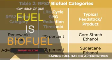 The Biofuel Blend: How Much Is in Our Fuel?