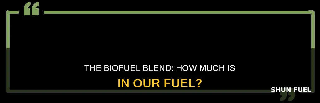 how much of our fuel is biofuel