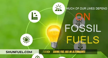 Fossil Fuels: Powering Our Lives, But For How Long?