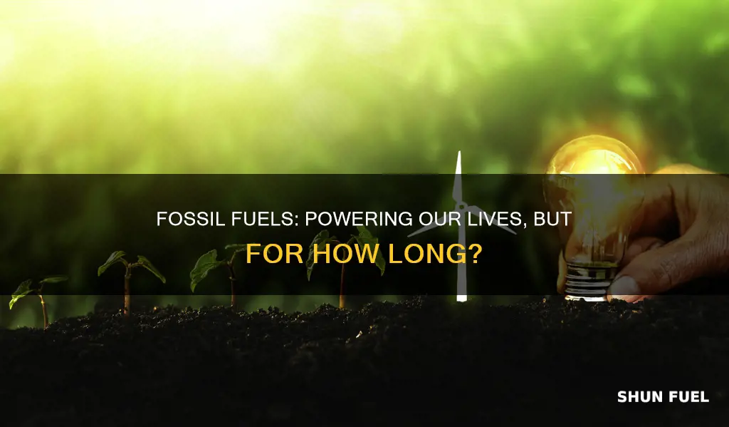 how much of our lives depend on fossil fuels