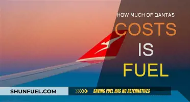 Fuel Costs: Qantas' Expensive Necessity