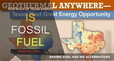 Texas Energy: Fossil Fuel's Dominance