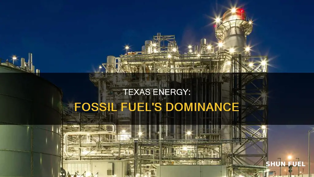 how much of texas energy is fossil fuel