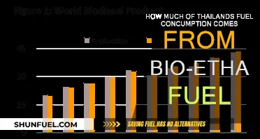 Thailand's Bio-Ethanol Fuel Consumption: What's the Percentage?