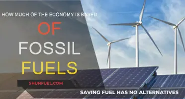 The Economy's Fossil Fuel Dependence