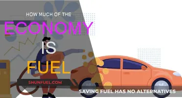 Fuel's Grip on the Economy: A Global Perspective