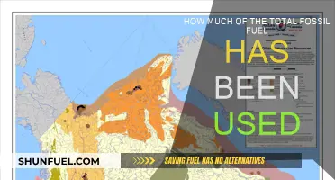 The World's Fossil Fuel Usage: How Much is Left?